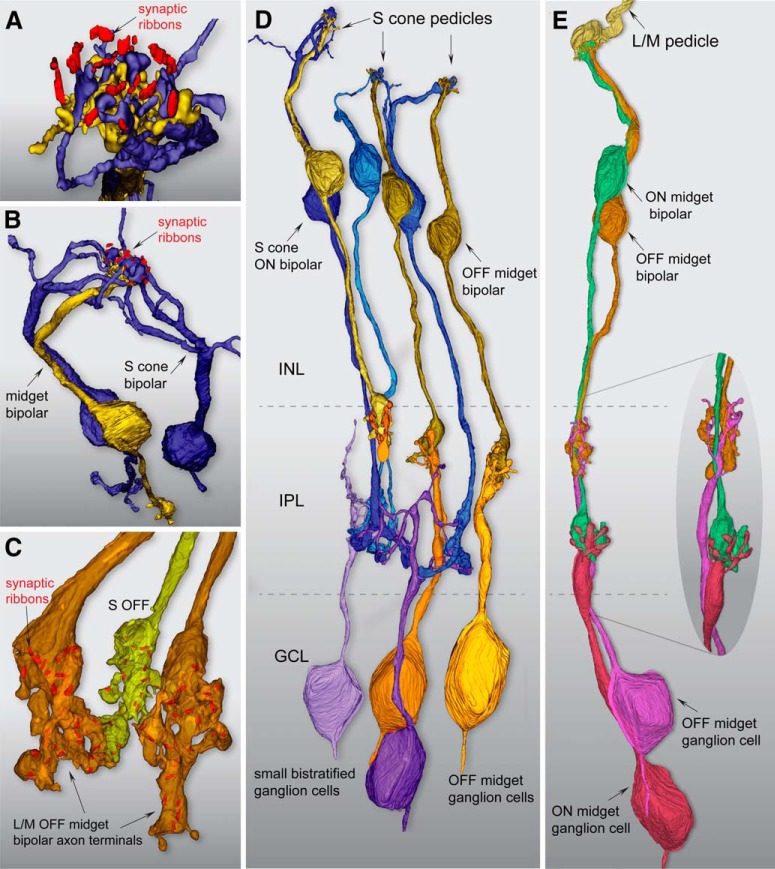 Figure 4.