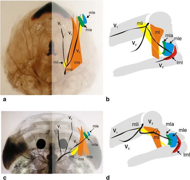 Fig. 11