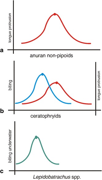 Fig. 13