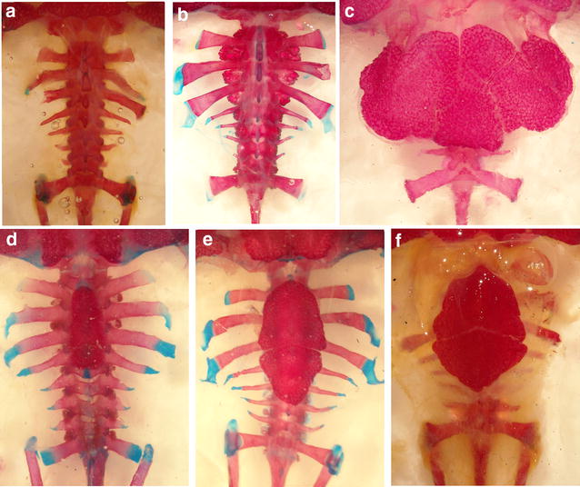 Fig. 8