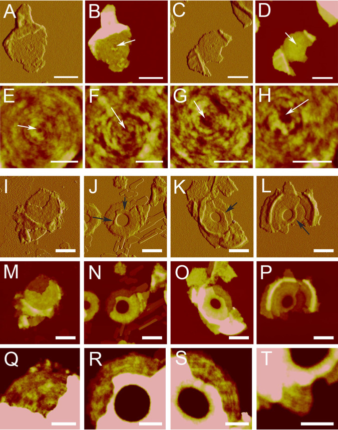 FIG 4