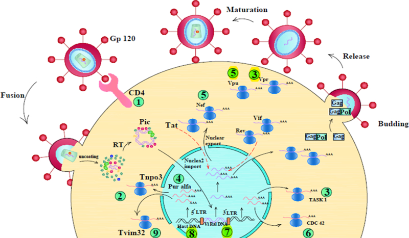 Figure 2.