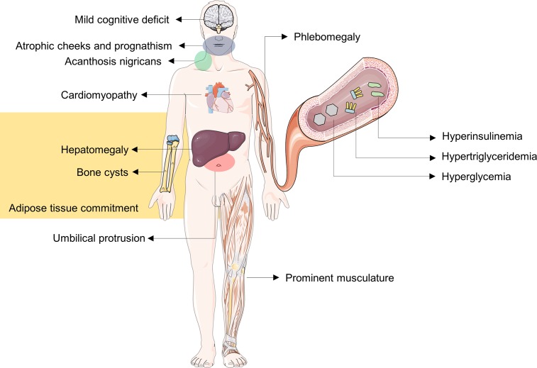 Fig 4