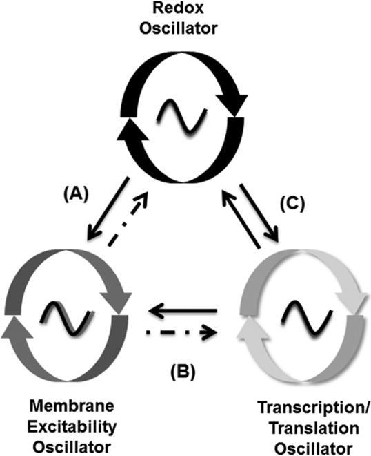 FIG. 6.