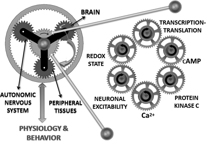 FIG. 3.