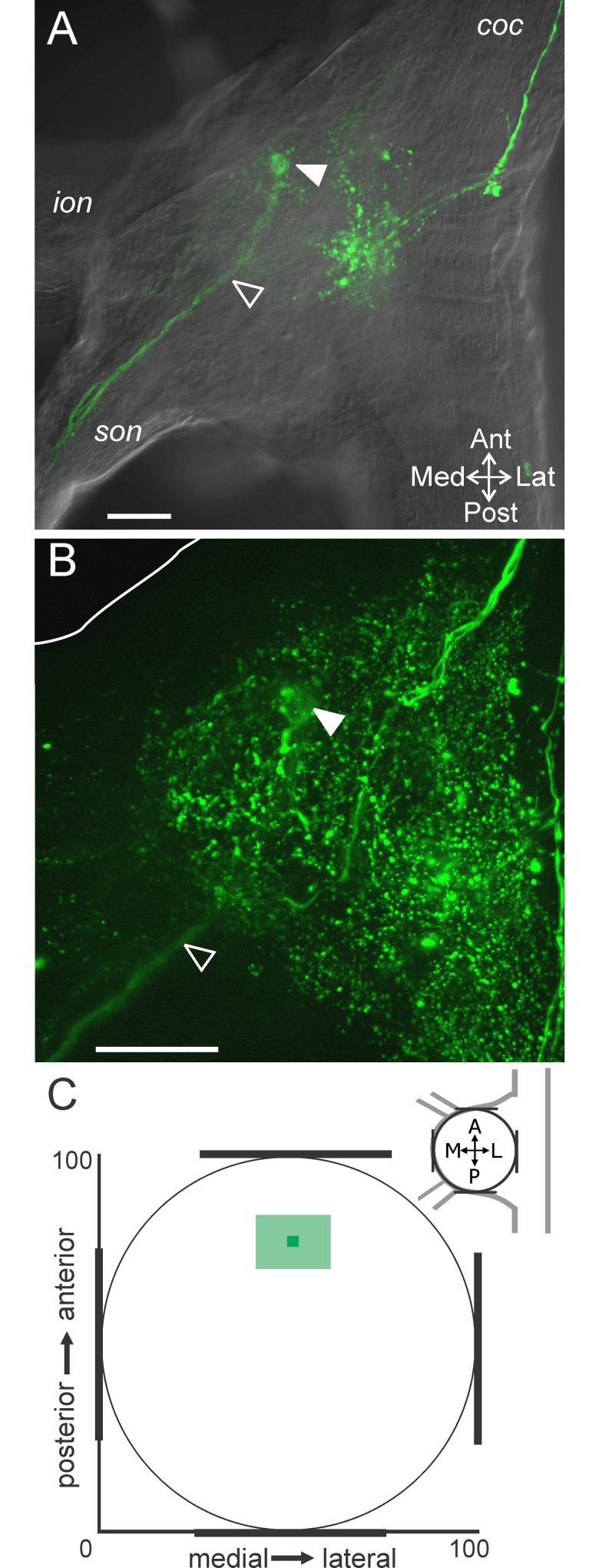 Fig 8