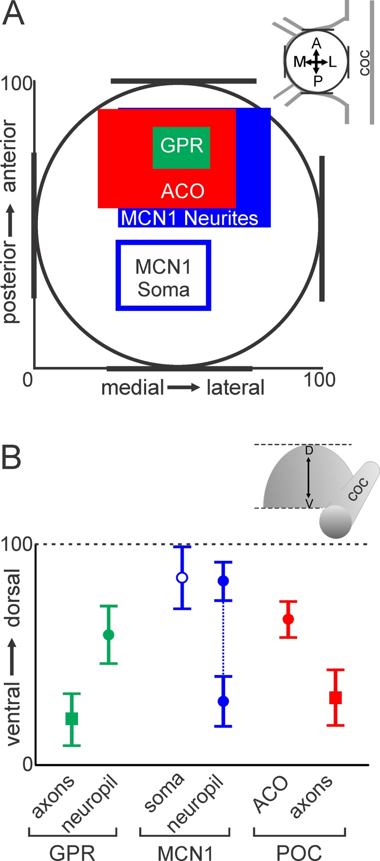 Fig 12