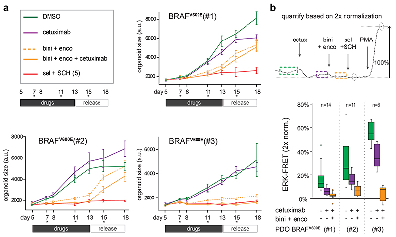 Extended Data Fig. 9