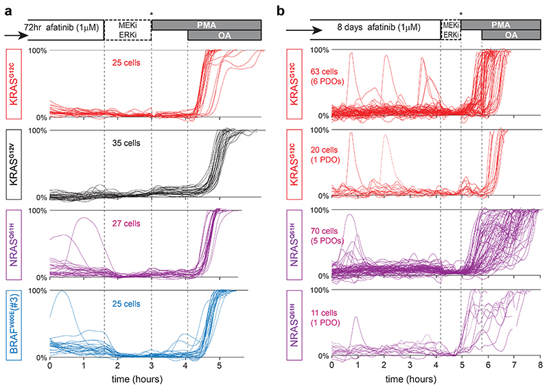 Extended Data Fig. 8