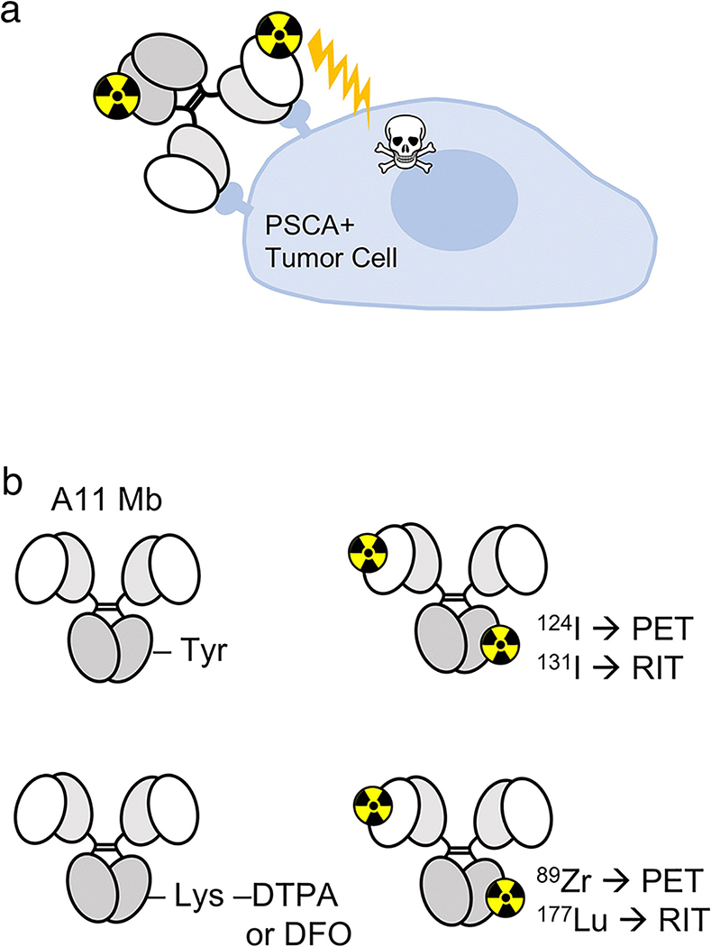 FIGURE 1: