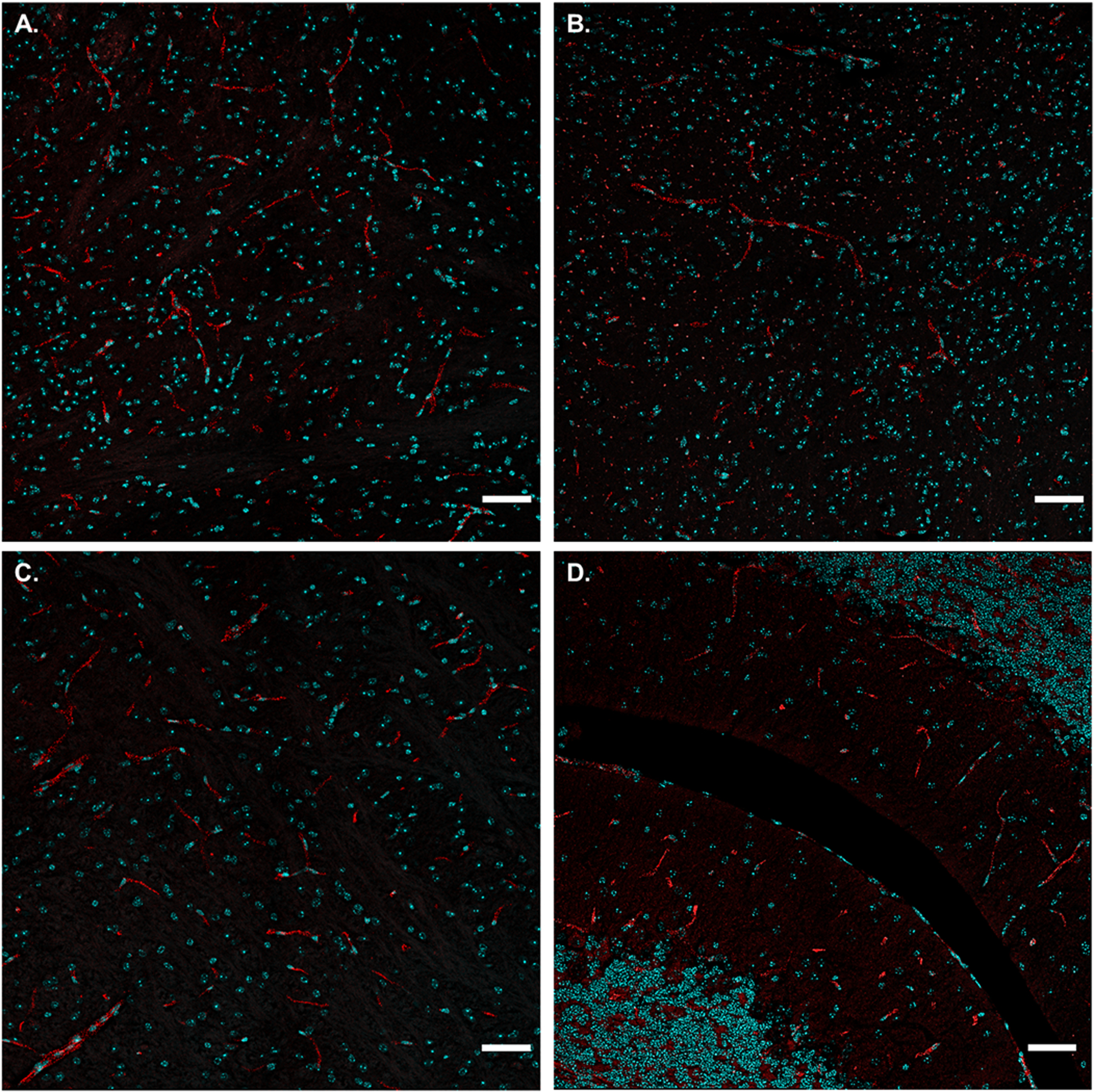 Figure 4.