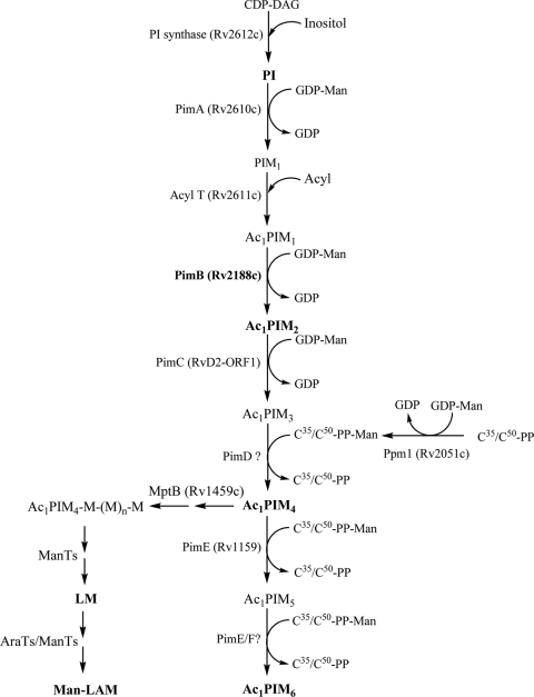 FIG. 7.