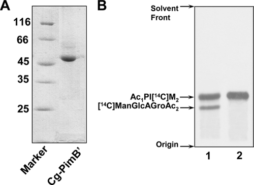 FIG. 6.