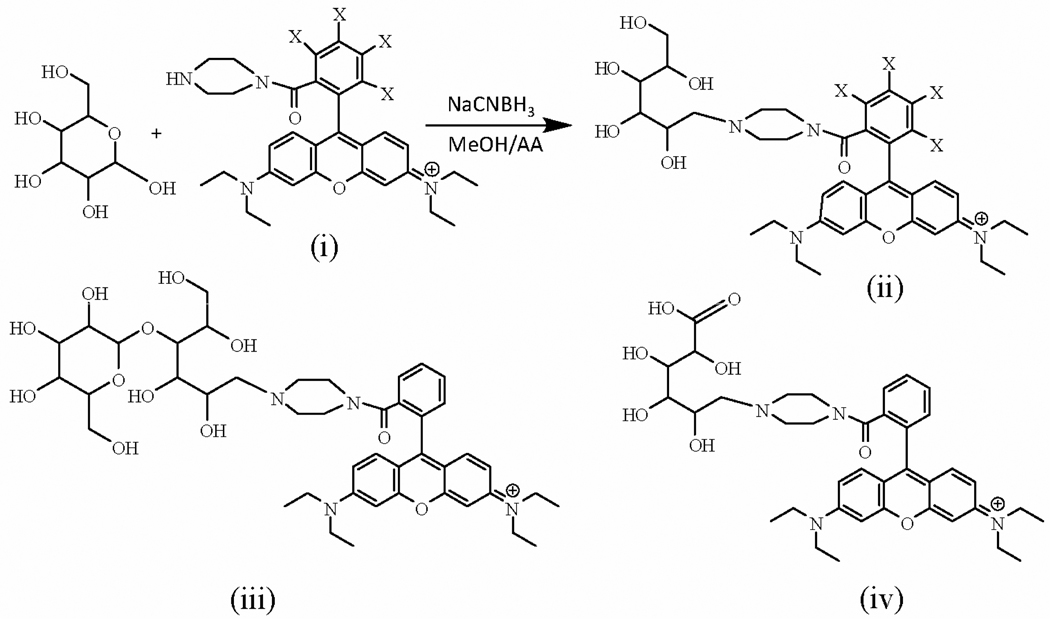 Scheme 1