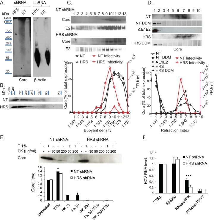 FIG 4 