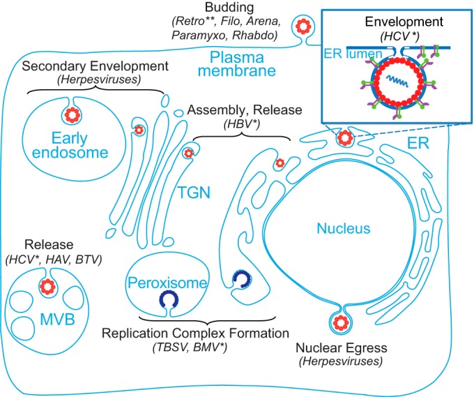 FIG 6 