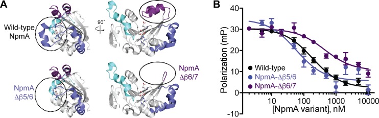 FIG 4