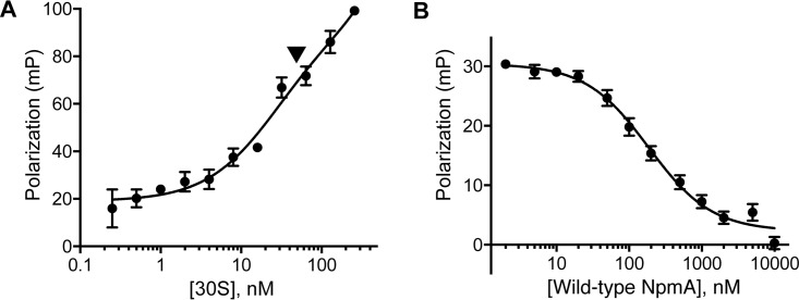 FIG 2