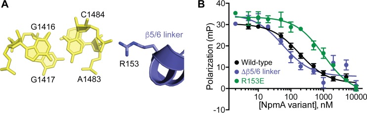 FIG 5