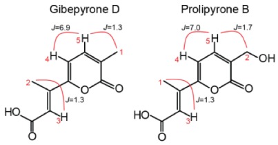 graphic file with name molecules-23-02232-i001.jpg