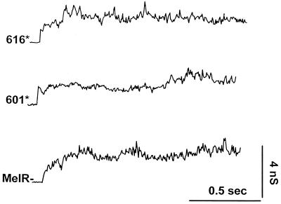 FIG. 5