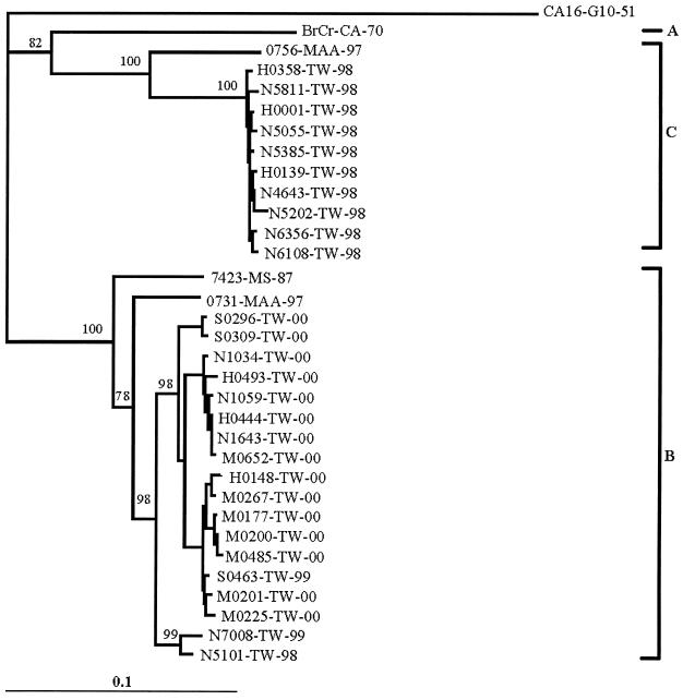 FIG. 2.