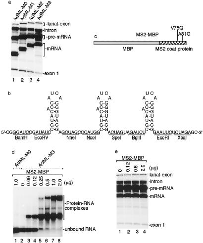 Fig 2.