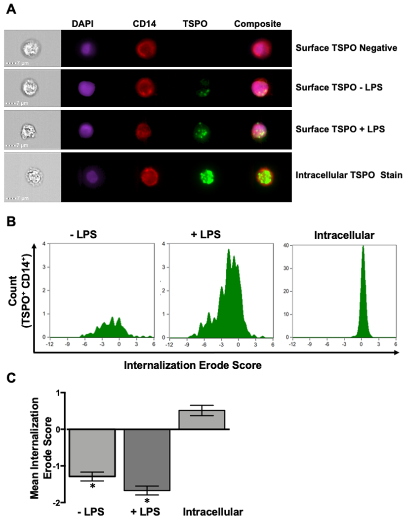 Figure 6.