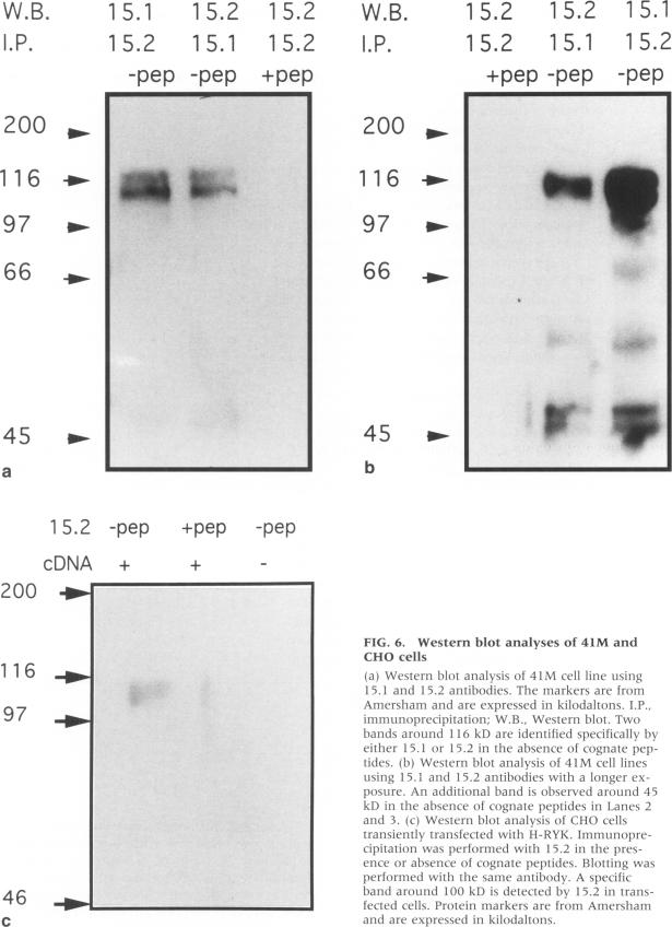 FIG. 6