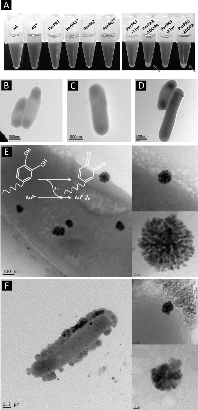 FIG 4