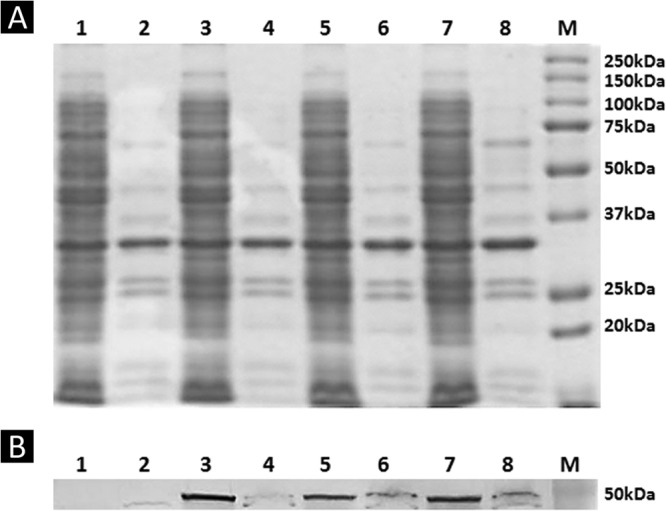 FIG 2