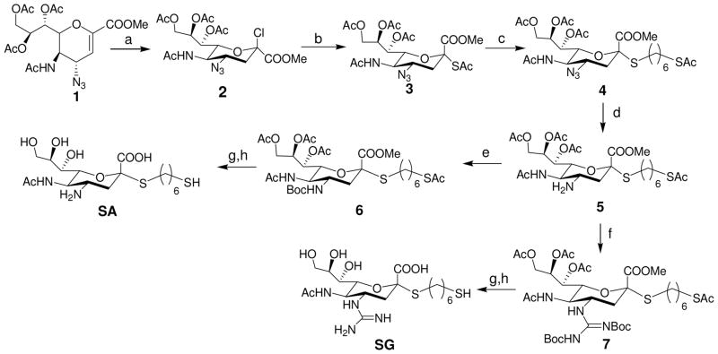 Scheme 1