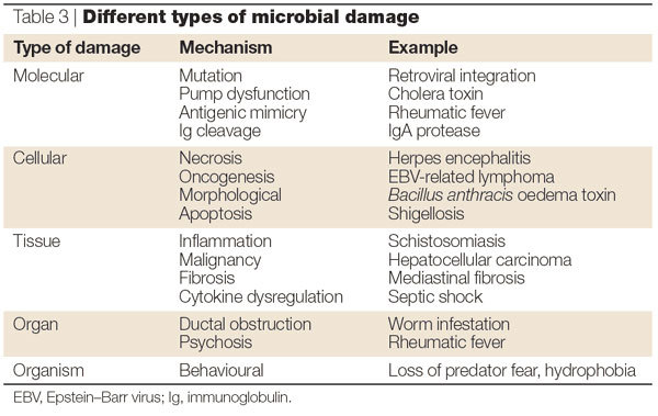 graphic file with name 41579_2003_Article_BFnrmicro732_Figc_HTML.jpg