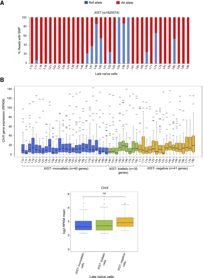 Figure 2