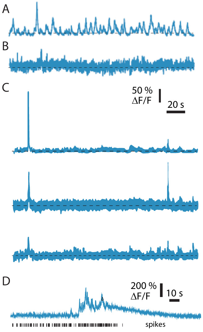 Figure 5—figure supplement 1.