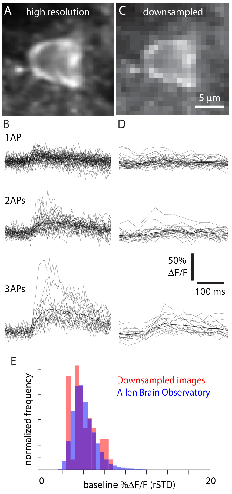 Figure 5.