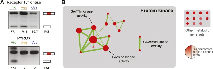 Figure 11.