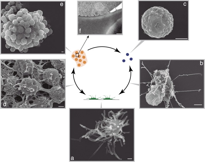 Figure 3.