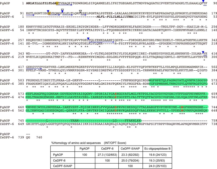 FIGURE 2.