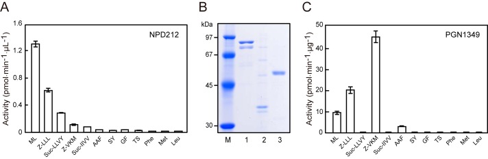 FIGURE 1.