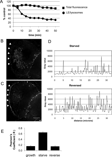 FIGURE 4: