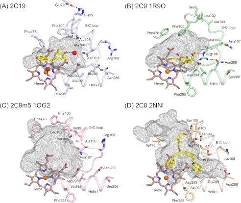 FIGURE 4.