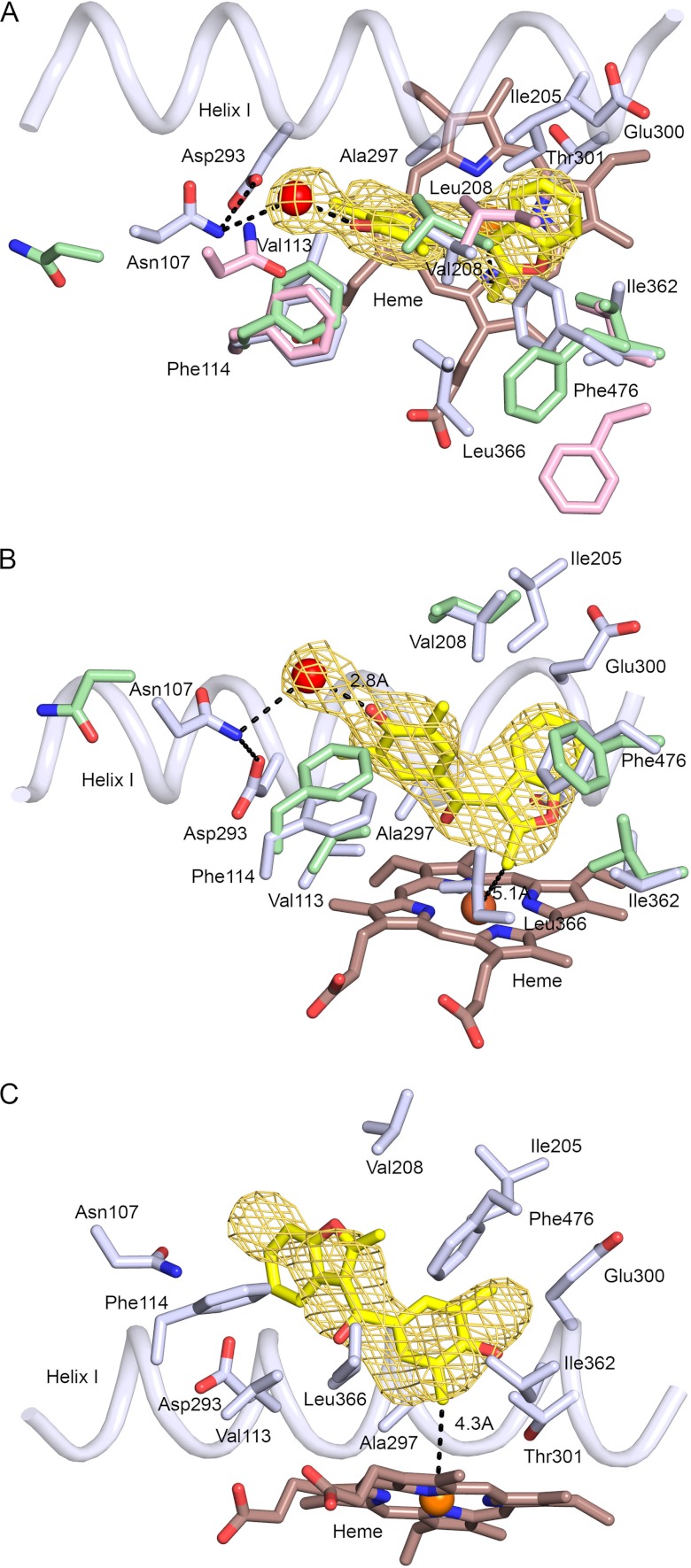 FIGURE 3.