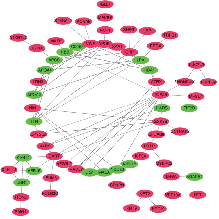 Figure 4