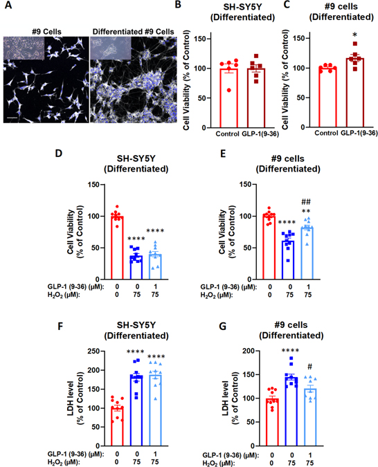 Figure 6: