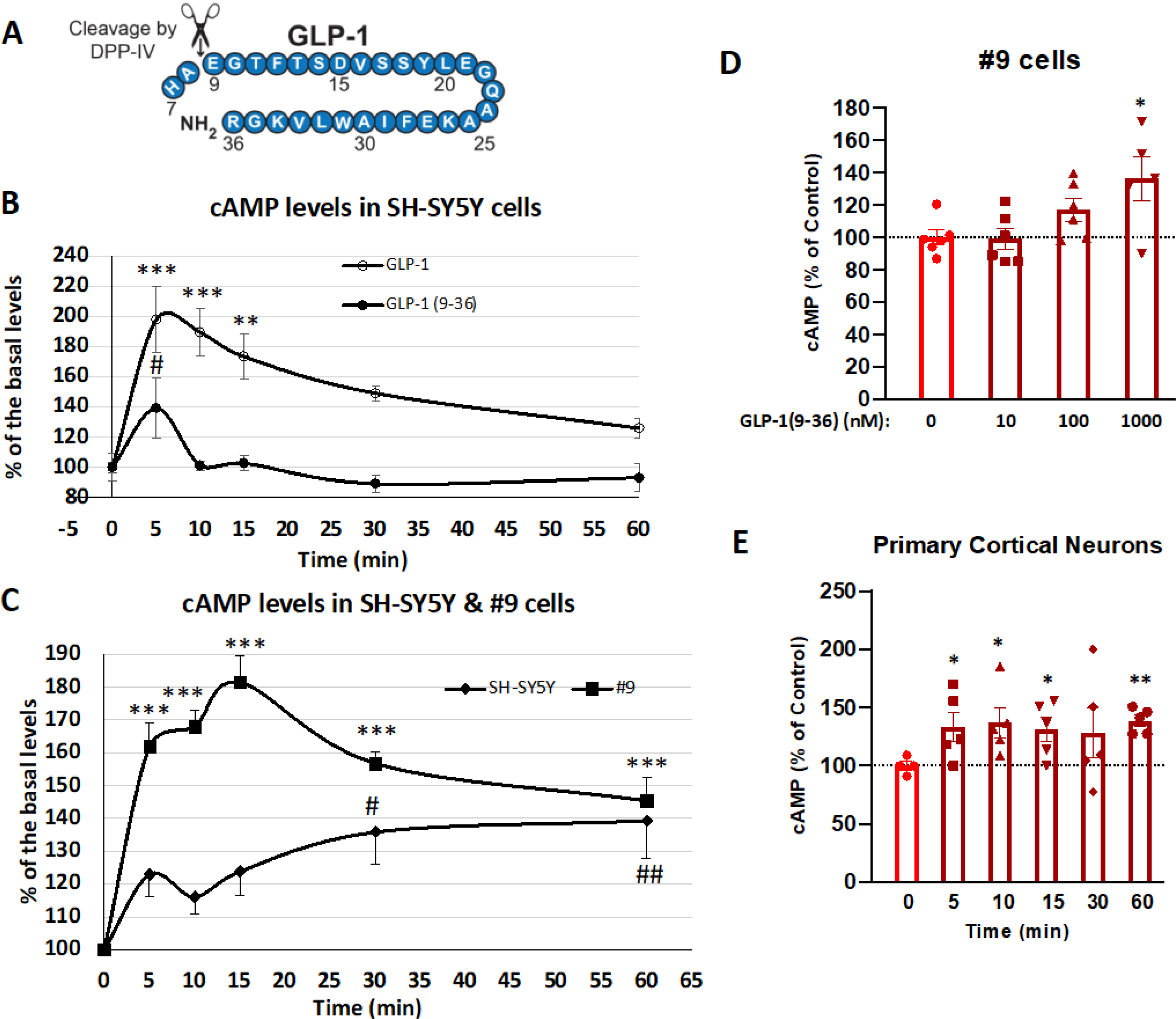 Figure 1: