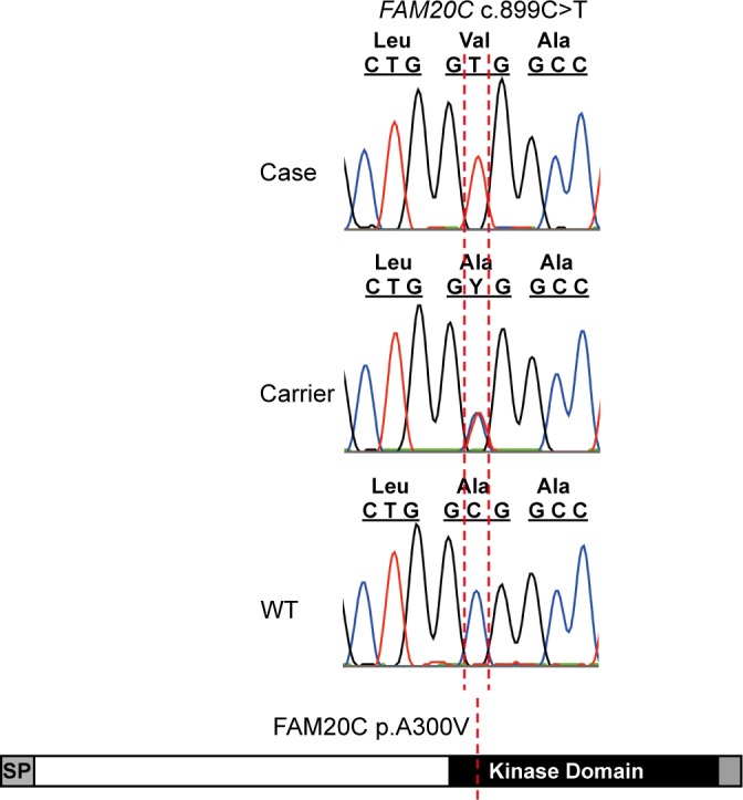 Fig 5