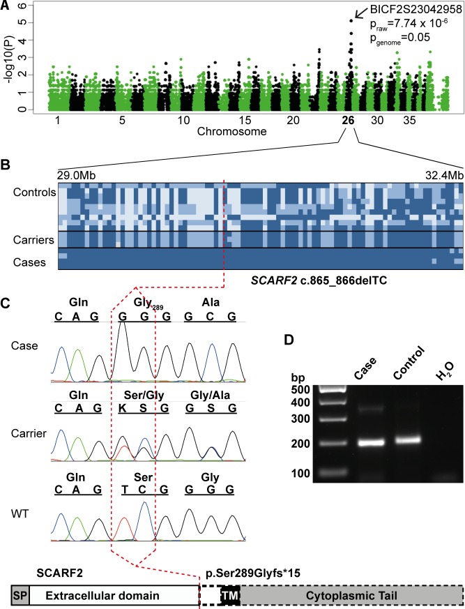 Fig 3