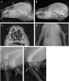 Fig 2