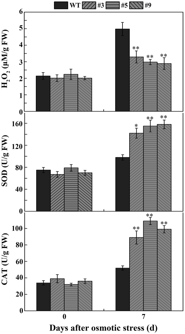 Figure 5